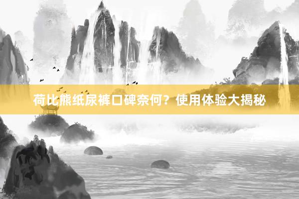 荷比熊纸尿裤口碑奈何？使用体验大揭秘